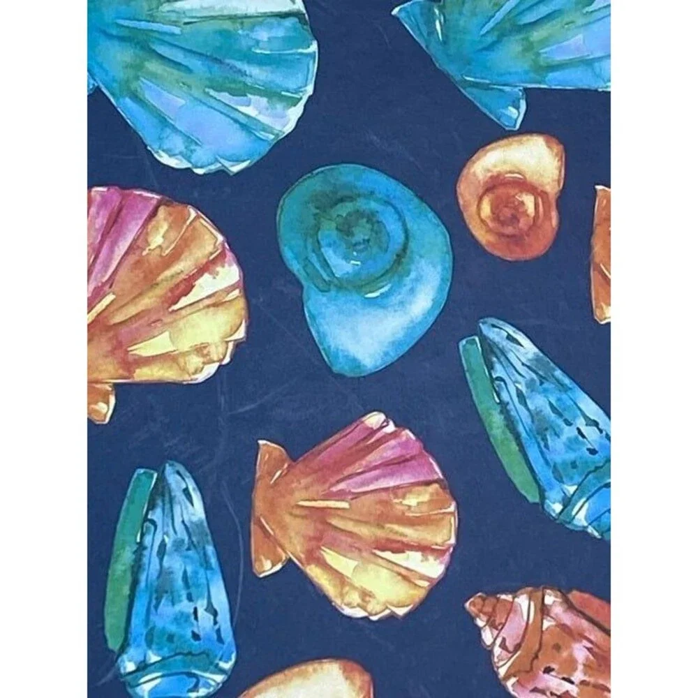Gift Box Sea Shells 9.5